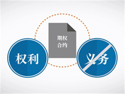 期權(quán)入門(mén)